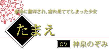 たまえ CV.神泉のぞみ